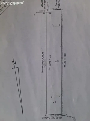 oferta.Teren loc.Remus, jud.Giurgiu