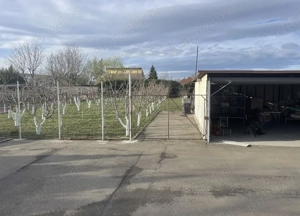 Vând casă în Timișoara  - imagine 3