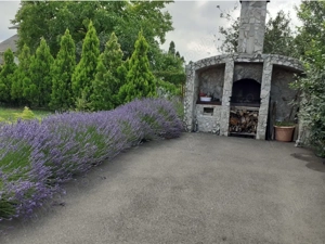 Vând casă în Timișoara  - imagine 7