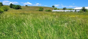 Teren Intravilan Podul Olt