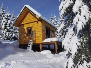 Teren intravilan 3 ha, cu 2 cabane, la marginea padurii si peisaj superb - imagine 6