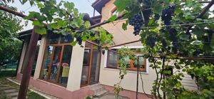 Casă individuală 5 camere   Ghiroda, vatră veche | teren 506 mp, lângă parc - imagine 15