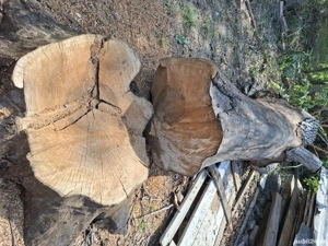 VÂND Busteni lemn Nuc