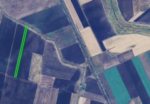 Vand teren agricol in Becicherecu Mic