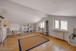 Maltopol - Titulescu, Vila d+p+1+m, 236 mp total, curte libera 217 mp - imagine 4