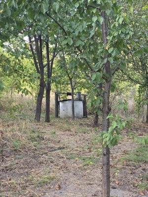 Vând casa Corbu Lipovat 2300mp - imagine 4 Vând casa Corbu Lipovat 2300mp - imagine 4