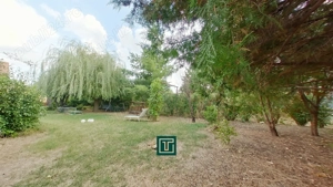 Teren pentru expunere comerciala de 2080 mp cu FS de 32 ml, cu birouri, pe Calea Radnei  - imagine 10