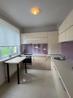 Apartament 2 camere, etaj intermediar, preluare de chiriasi, zona Lidl Buna Ziua - imagine 9