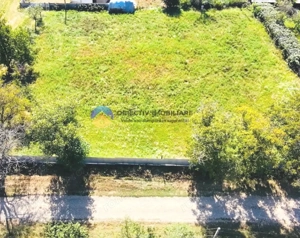 TEREN  intravilan ROZNOV - CHINTINICI - imagine 9