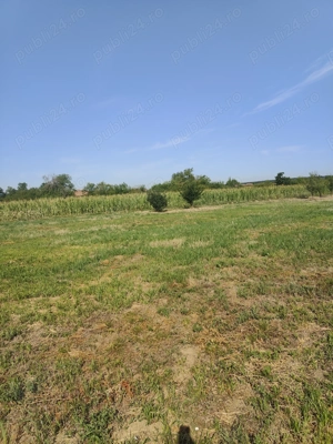 Teren intravilan Șauaieu 