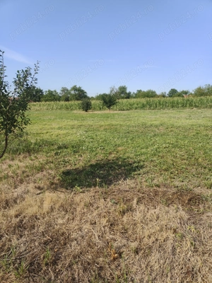 Teren intravilan Șauaieu  - imagine 3