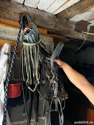 vand șei de cai si căpățan - imagine 4 vand șei de cai si căpățan - imagine 4