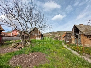 CASA TRADITIONALA 4 CAMERE, TEREN 3077, PETRISAT ALBA  - imagine 7