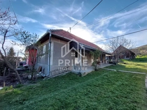 CASA TRADITIONALA 4 CAMERE, TEREN 3077, PETRISAT ALBA  - imagine 2