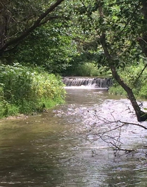 Vând teren Someșu Rece  - imagine 2