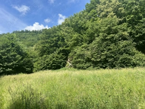 Vând teren Someșu Rece  - imagine 3