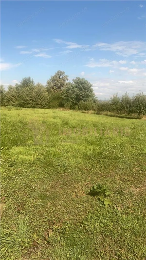 Teren intravilan 80 ari cu posibilitate de parcelare, Ardusat