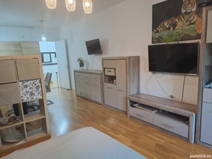 Proprietar vanzare închiriere Iancu Nicolae Gradina zoologica Jolie ville Cambridge school  - imagine 4