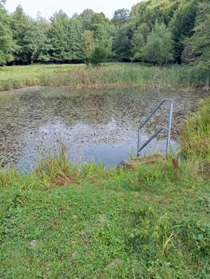 Teren de vânzare Sovata  - imagine 2