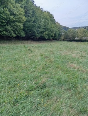 Teren de vânzare Sovata 