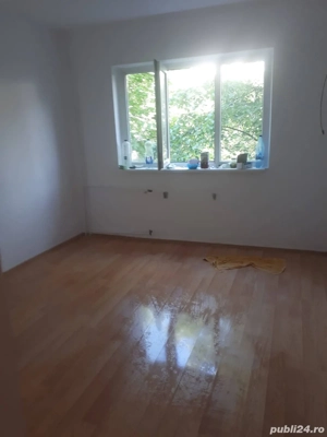 zugrav cu experiență 