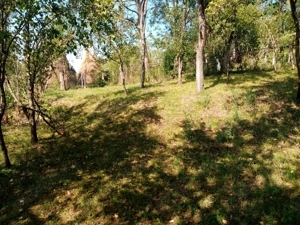 Teren intravilan Comuna Adunati ( Breaza, Prahova - imagine 3