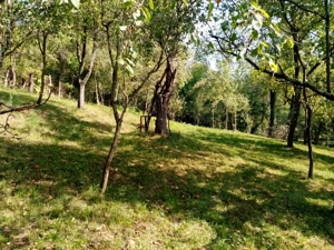 Teren intravilan Comuna Adunati ( Breaza, Prahova - imagine 2