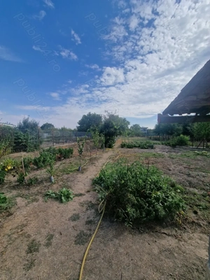 Casa de vanzare in Sannicolau Mare - imagine 10 Casa de vanzare in Sannicolau Mare - imagine 10