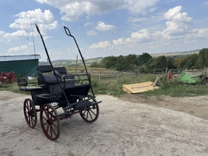 Vand trasura maraton