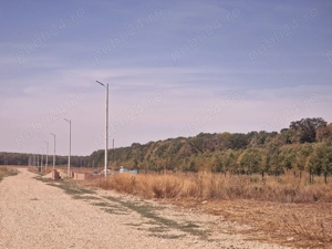 Teren intravilan zona padure aproape de Bucuresti - imagine 3