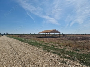 Teren intravilan zona padure aproape de Bucuresti - imagine 2