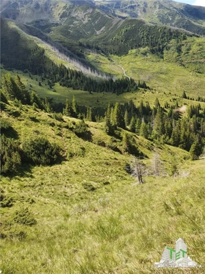 SUPER OPORTUNITATE, DE VANZARE O PROPRIETATE SPECIALA, MUNTELE VARFUL GROAPELE , 101 HA TEREN, PADUR - imagine 2