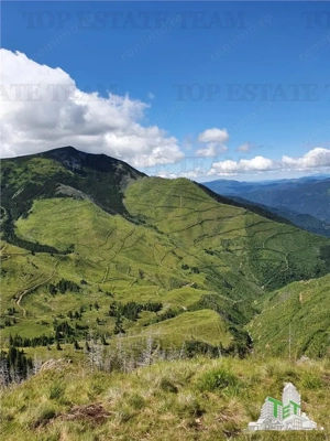 SUPER OPORTUNITATE, DE VANZARE O PROPRIETATE SPECIALA, MUNTELE VARFUL GROAPELE , 101 HA TEREN, PADUR - imagine 3