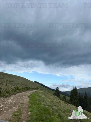 SUPER OPORTUNITATE, DE VANZARE O PROPRIETATE SPECIALA, MUNTELE VARFUL GROAPELE , 101 HA TEREN, PADUR - imagine 14