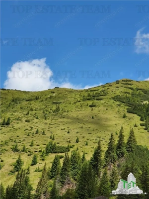 SUPER OPORTUNITATE, DE VANZARE O PROPRIETATE SPECIALA, MUNTELE VARFUL GROAPELE , 101 HA TEREN, PADUR - imagine 19