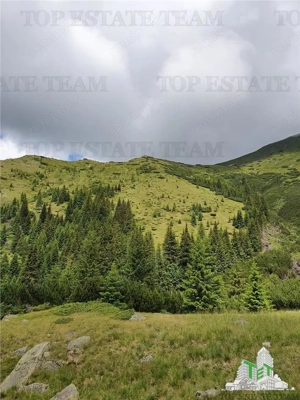 SUPER OPORTUNITATE, DE VANZARE O PROPRIETATE SPECIALA, MUNTELE VARFUL GROAPELE , 101 HA TEREN, PADUR - imagine 16