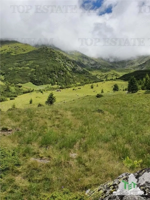 SUPER OPORTUNITATE, DE VANZARE O PROPRIETATE SPECIALA, MUNTELE VARFUL GROAPELE , 101 HA TEREN, PADUR - imagine 18