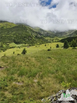 SUPER OPORTUNITATE, DE VANZARE O PROPRIETATE SPECIALA, MUNTELE VARFUL GROAPELE , 101 HA TEREN, PADUR - imagine 15