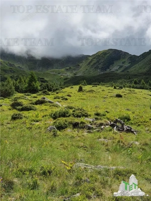 SUPER OPORTUNITATE, DE VANZARE O PROPRIETATE SPECIALA, MUNTELE VARFUL GROAPELE , 101 HA TEREN, PADUR - imagine 4