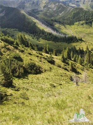 SUPER OPORTUNITATE, DE VANZARE O PROPRIETATE SPECIALA, MUNTELE VARFUL GROAPELE , 101 HA TEREN, PADUR - imagine 5