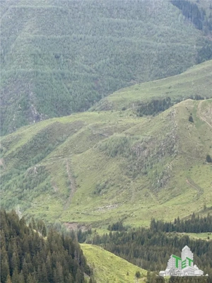 SUPER OPORTUNITATE, DE VANZARE O PROPRIETATE SPECIALA, MUNTELE VARFUL GROAPELE , 101 HA TEREN, PADUR - imagine 7