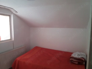 cabana la munte in tarcau - imagine 3