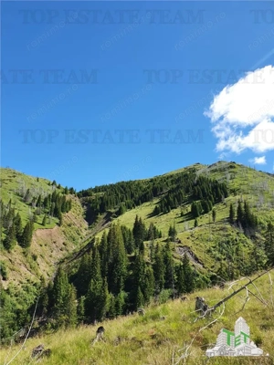 SUPER OPORTUNITATE, DE VANZARE O PROPRIETATE SPECIALA, MUNTELE VARFUL GROAPELE , 101 HA TEREN, PADUR - imagine 6