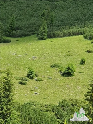 SUPER OPORTUNITATE, DE VANZARE O PROPRIETATE SPECIALA, MUNTELE VARFUL GROAPELE , 101 HA TEREN, PADUR - imagine 17