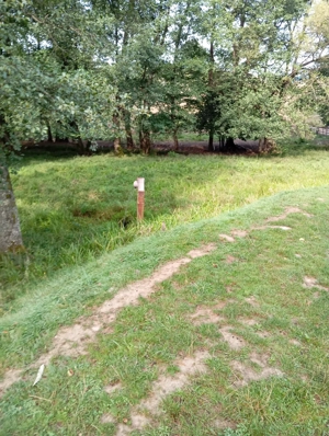 Teren de vânzare Sovata  - imagine 5