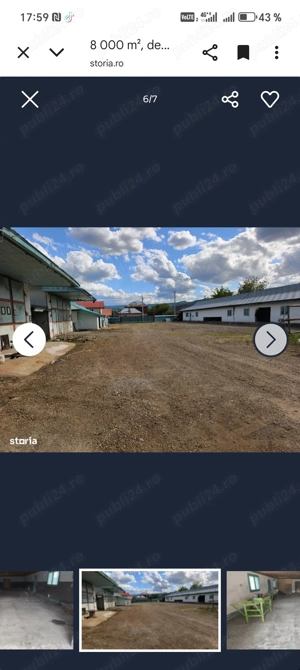 Hale de inchiriat Moinesti - imagine 6