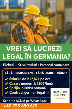 Locuri de muncă în Germania -contract german  picker, stivuitorist, descărcare container LKW - imagine 4