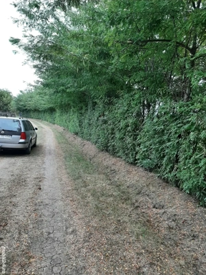 Teren str Casa Apelor - imagine 3