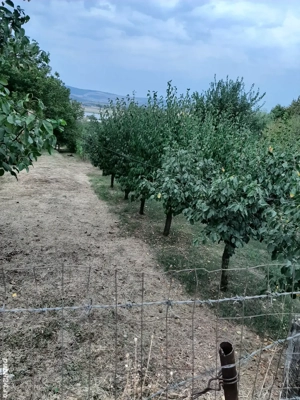 Teren str Casa Apelor - imagine 4