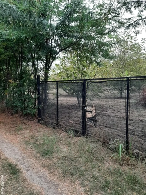 Teren str Casa Apelor - imagine 5